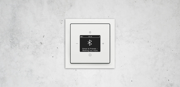 Busch-Radio Btconnect bei Elektro Steiner GmbH in Volkmannsdorferau